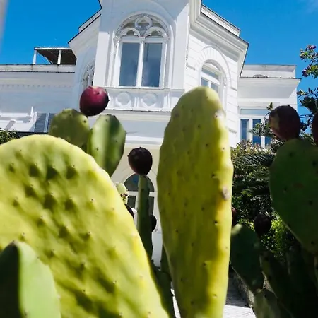 Alessandro - Anacapri (Isola di Capri)