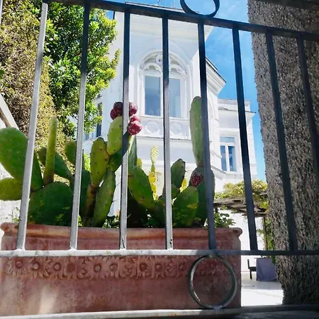 Villa Alessandro -